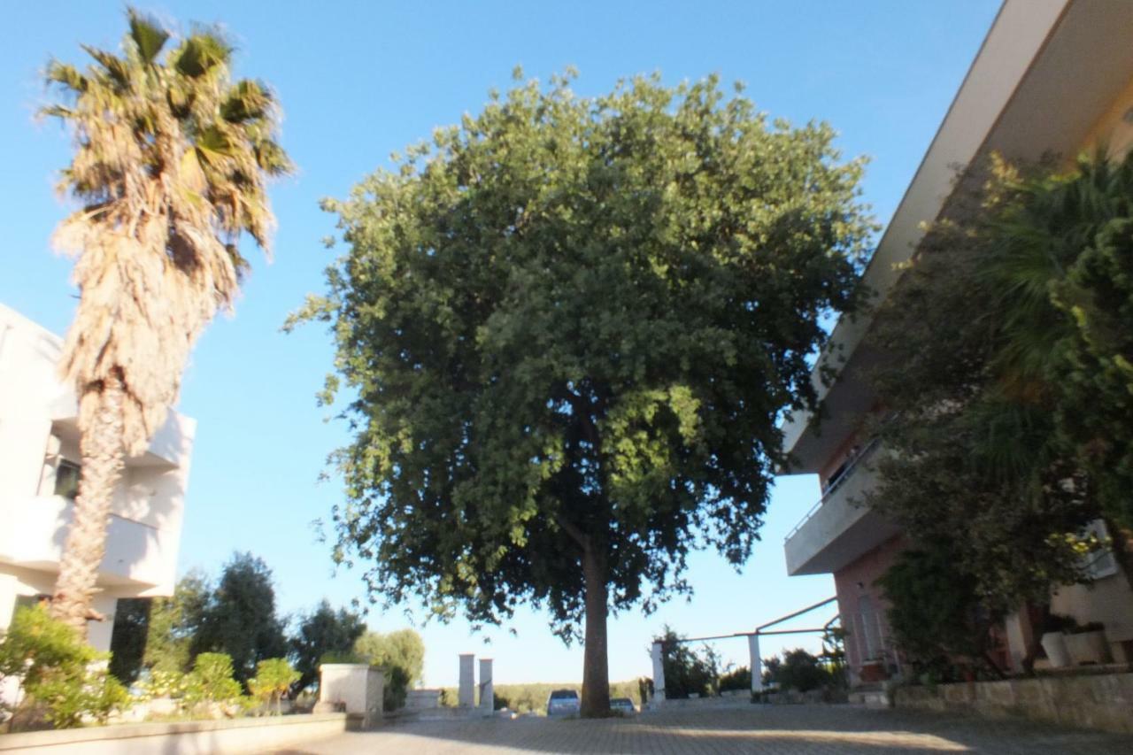La Vallonea Casamassella Exterior photo